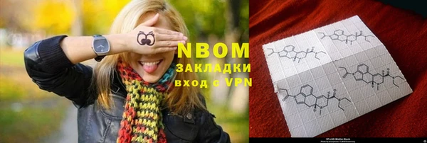хмурый Абаза