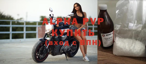 хмурый Абаза