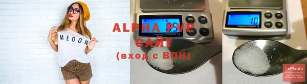 хмурый Абаза