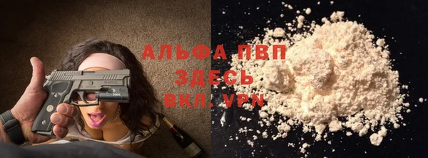 хмурый Абаза