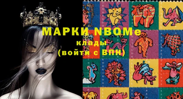 хмурый Абаза